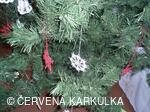 Vánoce v Perníkové chaloupce 2009